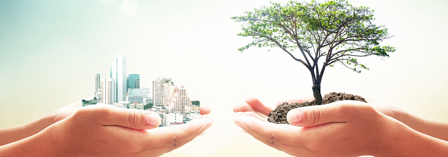 Sustainable Real Estate USA: Building the Future Responsibly
