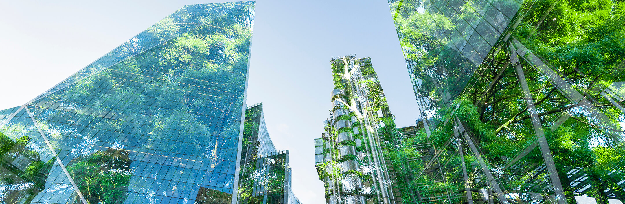 Composite of modern skyscrapers and trees